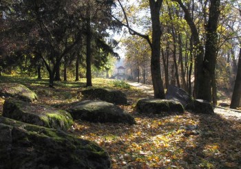 Экскурсия в Белую Церковь